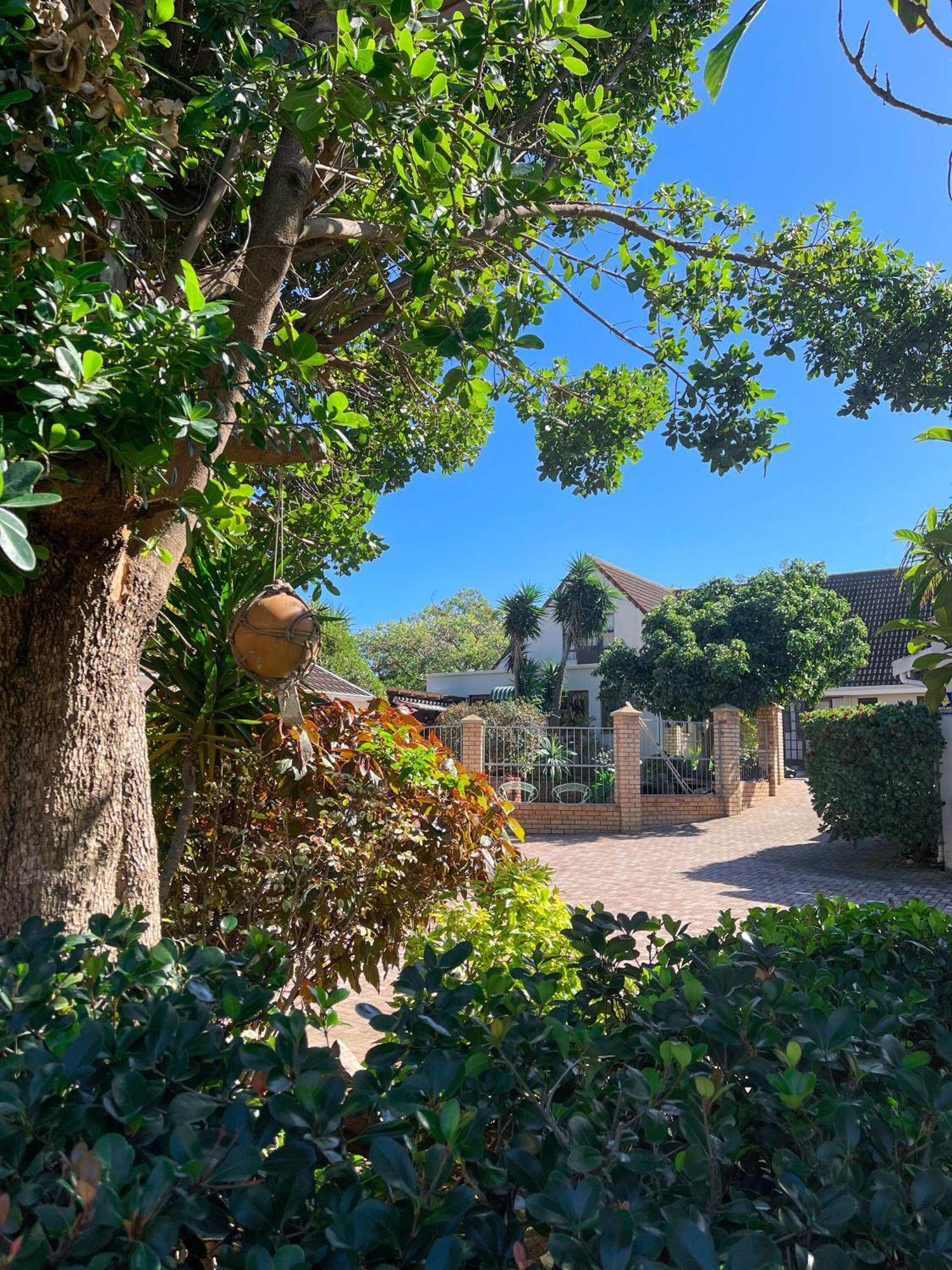 Albert Road Garden Guest House Puerto Elizabeth Exterior foto