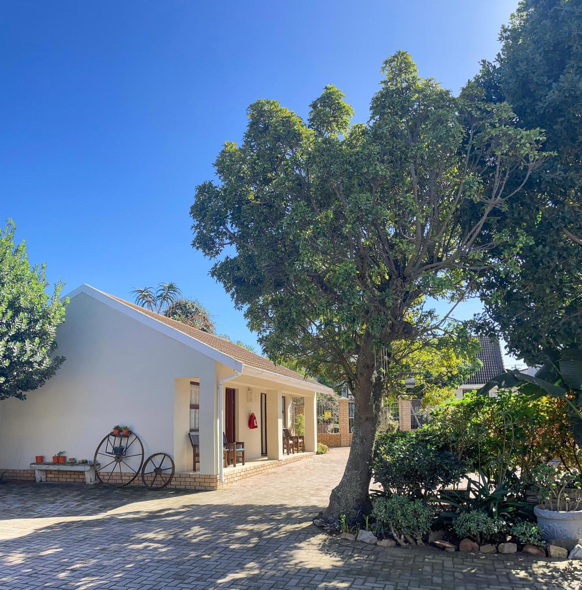 Albert Road Garden Guest House Puerto Elizabeth Exterior foto