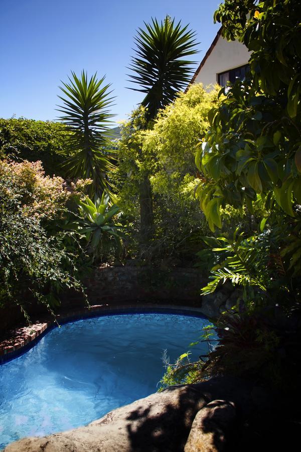 Albert Road Garden Guest House Puerto Elizabeth Exterior foto